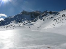 Claveles y Pájaros